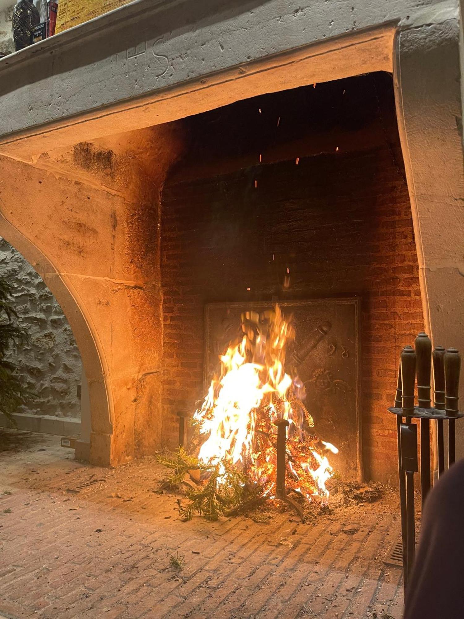 Le Domaine De Brie Apartment Chatillon-la-Borde Bagian luar foto